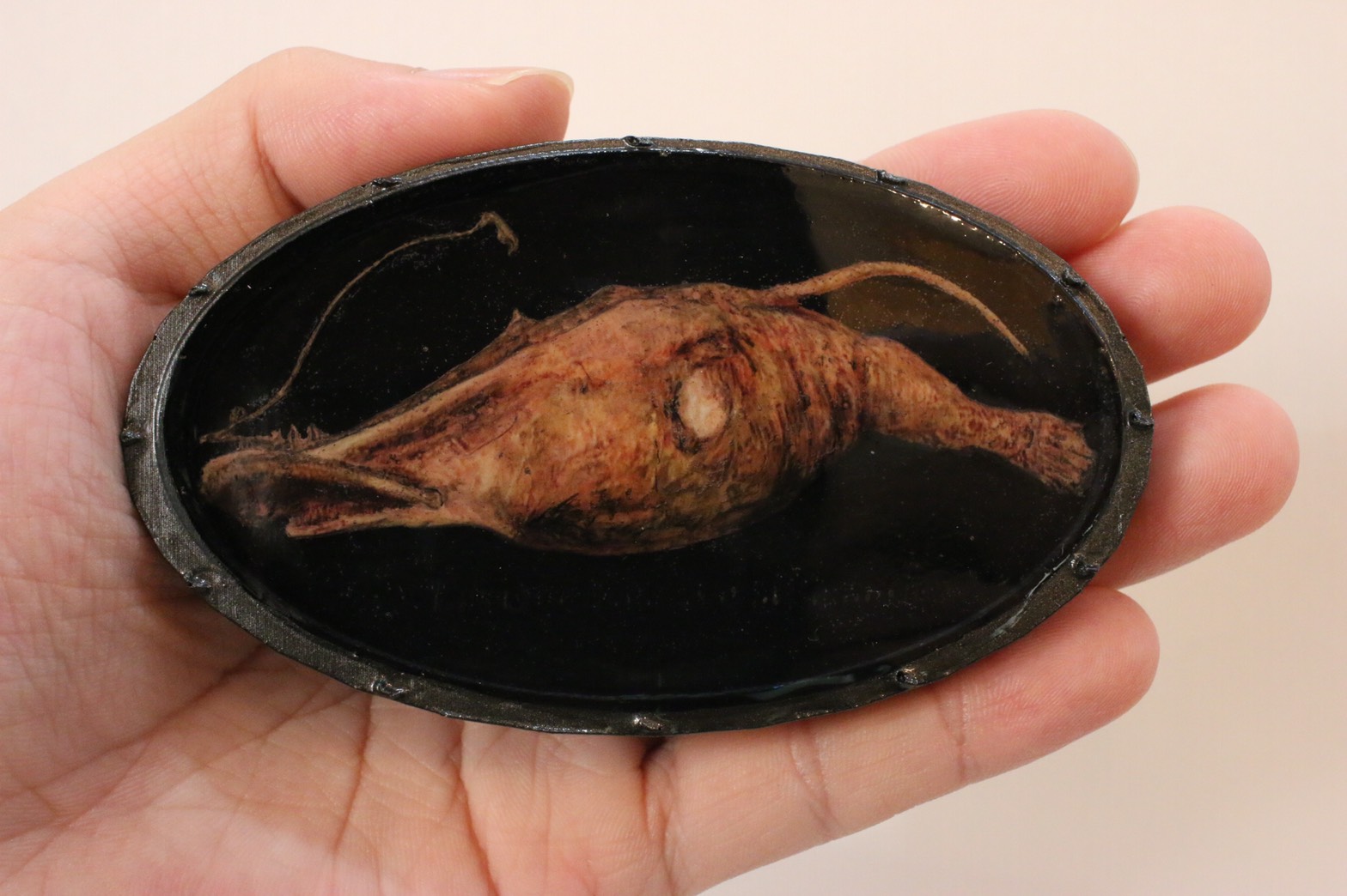 水中にいるラシオグナサス アンフィランファスの模型を作成しました！ アンフィ合同会社